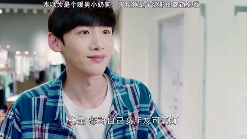 替嫁给了奶狗霸总,与奶狗霸总的甜蜜复仇之旅