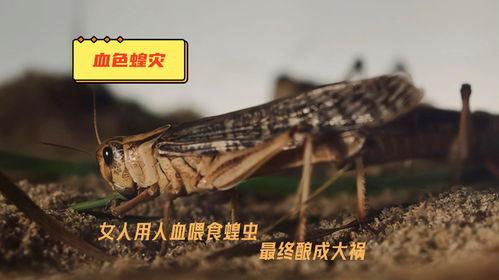 血色蝗灾,吞噬天地的毁灭之灾
