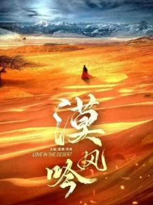 漠风吟,穿越荒野的岁月之歌